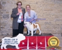 Filename=2019_Bulldog_Show030-ec.jpg
Filesize=165KiB
Dimensions=1000x800
Date added=Apr 20, 2019 2019_Bulldog_Show030-ec.jpg