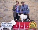 Filename=2019_Bulldog_Show031-ec.jpg
Filesize=185KiB
Dimensions=1000x800
Date added=Apr 20, 2019 2019_Bulldog_Show031-ec.jpg