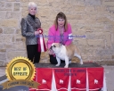 Filename=2019_Bulldog_Show109-e.jpg
Filesize=222KiB
Dimensions=1000x800
Date added=Apr 20, 2019 2019_Bulldog_Show109-e.jpg
