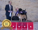 Filename=2019_Bulldog_Show250-e.jpg
Filesize=205KiB
Dimensions=1000x800
Date added=Apr 20, 2019 2019_Bulldog_Show250-e.jpg