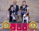Filename=2019_Bulldog_Show262-e.jpg
Filesize=262KiB
Dimensions=1000x800
Date added=Apr 20, 2019 2019_Bulldog_Show262-e.jpg